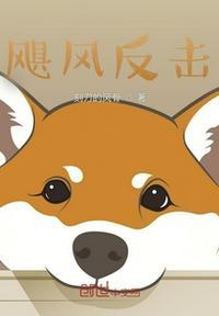 飓风战斗视频