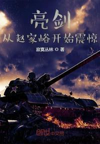 穿越亮剑赵刚