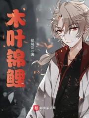 木叶锦鲤 第1章