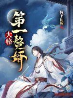 大骆第一赘婿txt全本精校