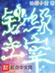 主宰100级全集