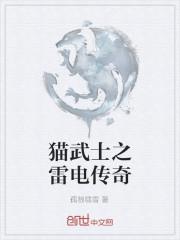 猫武士之雷电传奇是第几部