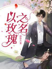 玫瑰之名原著