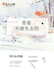 歌词青春已不再