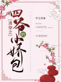 清穿之四爷宠妃四胞胎