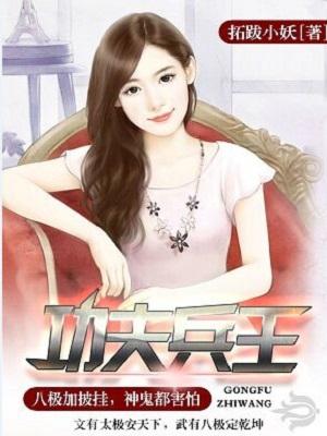 功夫兵王TXT全文
