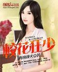 校花狂少有几个女人