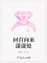 回首向来萧萧处