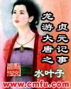 龙游大唐之贞元记事mianfei