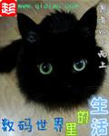 生活在别人的世界里