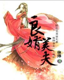 良婿美夫无删减