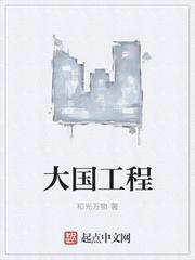 大国工程心得