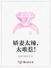 娇妻太火辣首席老公请住手