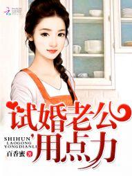 试婚老公用点力全本