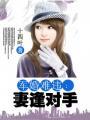 军婚难违妻逢对手无弹幕