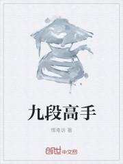 九段高手对句解说