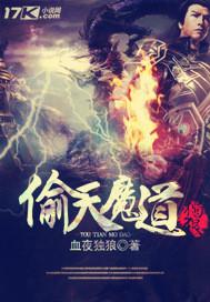 偷天怎么样