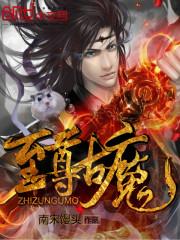 至尊神魔的境界介绍