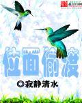 无限位面掠夺