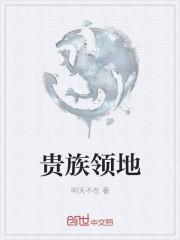 贵族领地面积