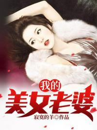 我的美女老婆免费阅读