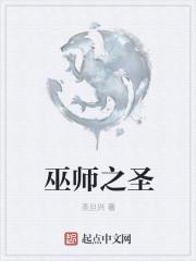 圣位巫师txt