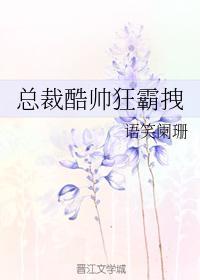 总裁酷帅狂霸拽林平平车