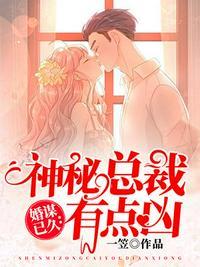 神秘总裁有点坏叶北
