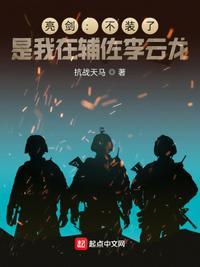 是我在辅佐李云龙TXT