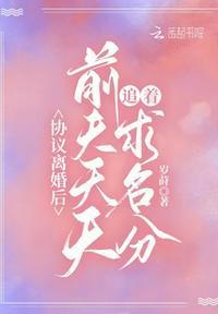 前夫天天追着求名分91章