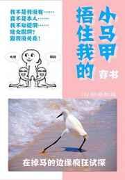 裹紧我的小马甲百度百度知道