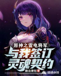原神关于雷电将军的