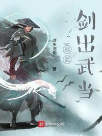 综武武当挂机