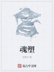 魂塑是什么意思