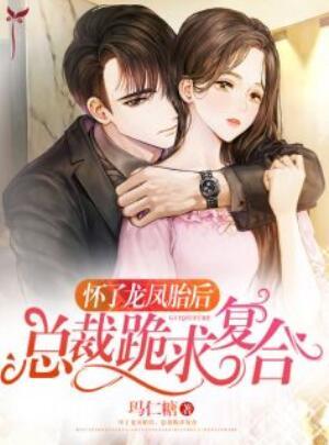 生了龙凤胎的总裁叫什么