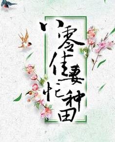 致富娇妻续前缘 飞猪猪百度