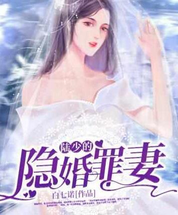 陆少的隐婚罪妻阅读
