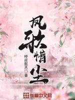 凤歌夜轻尘