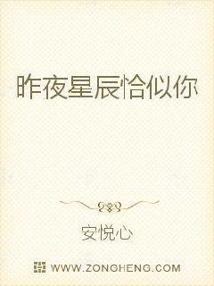 昨夜星辰恰似你观山雪TXT