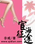 宦海征途txt全本免费