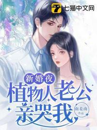 新婚夜植物人老公突然亲了我概括