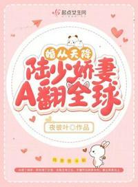 婚从天降陆少请多关照