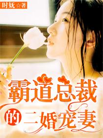 霸道总裁的二婚妻子宠妻