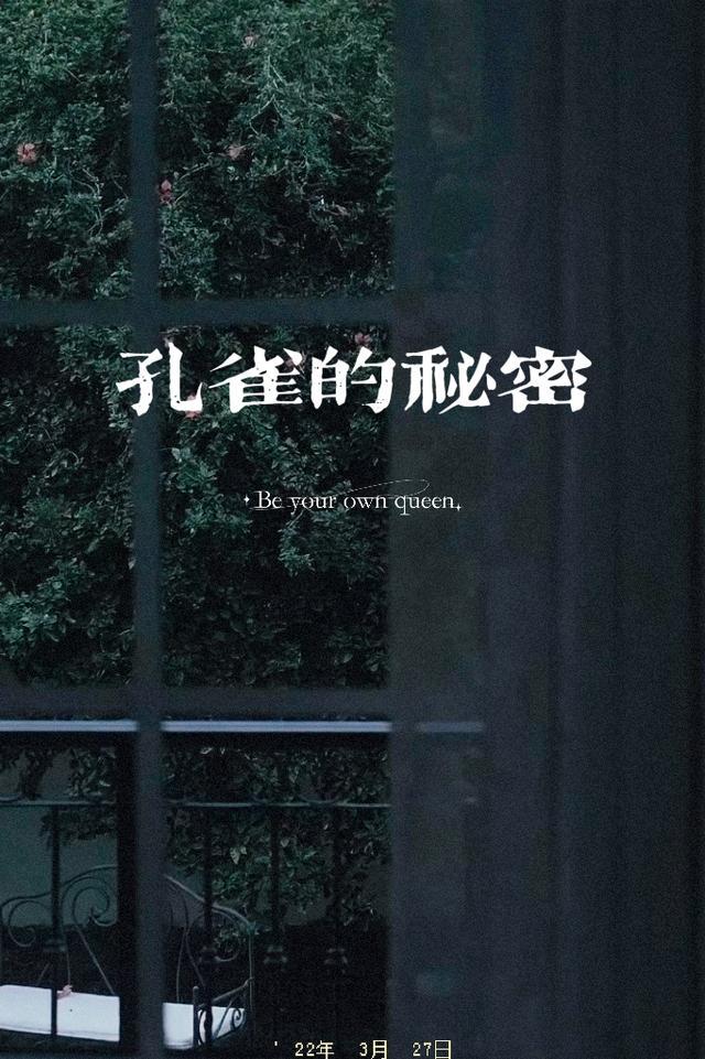 孔雀的秘密之书你有什么东西