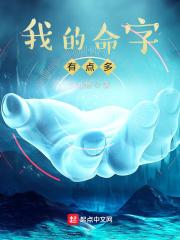 我的命字有点多起点中文网