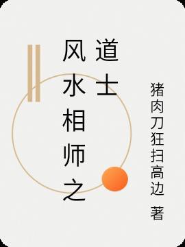 道士风水师类都市