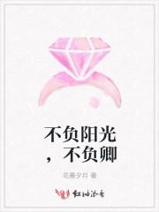 不负阳光不负晴的意思