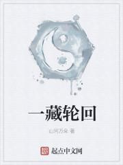 一藏轮回境界