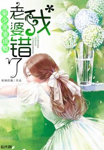 秦少宠妻公式你说的都对