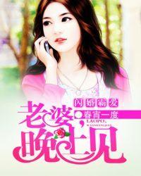 闪婚霸爱老婆晚上见免费阅读TXT